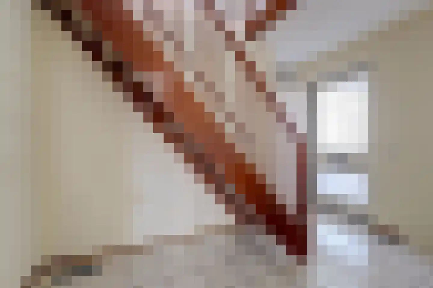 Rembrandtstraat 15 De Lier thumbnail 10