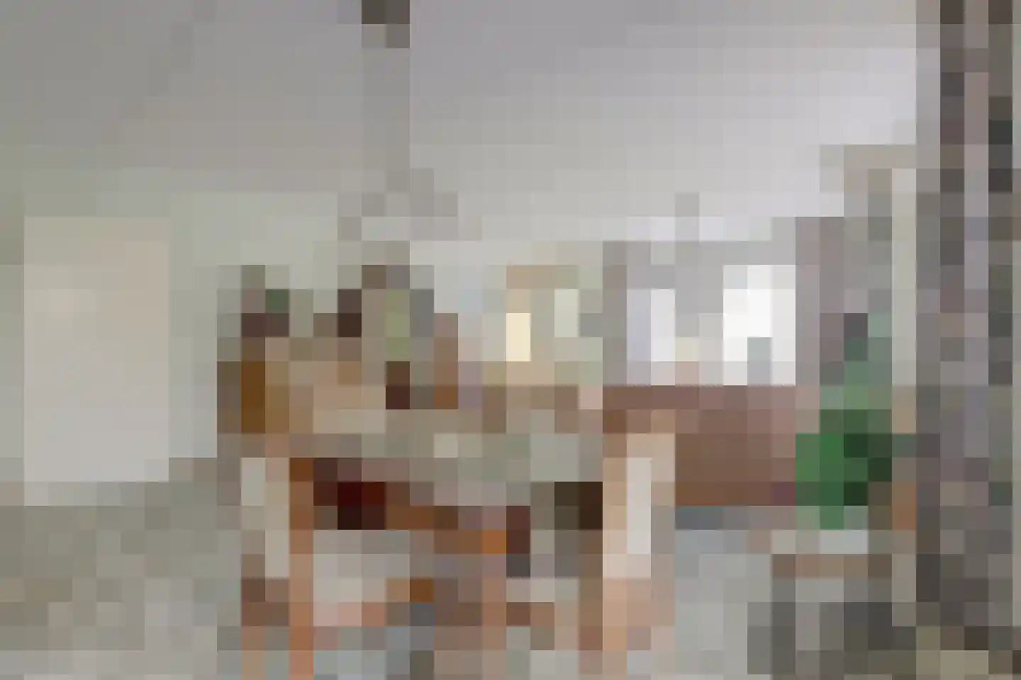 Rembrandtstraat 15 De Lier thumbnail 15
