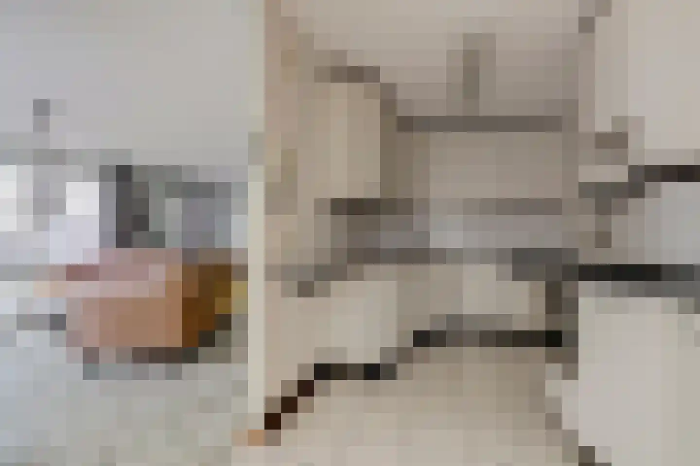 Rembrandtstraat 15 De Lier thumbnail 16