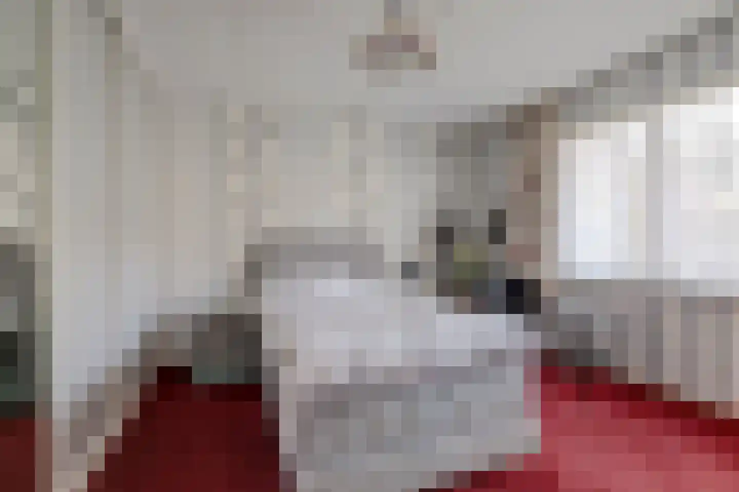 Rembrandtstraat 15 De Lier thumbnail 23