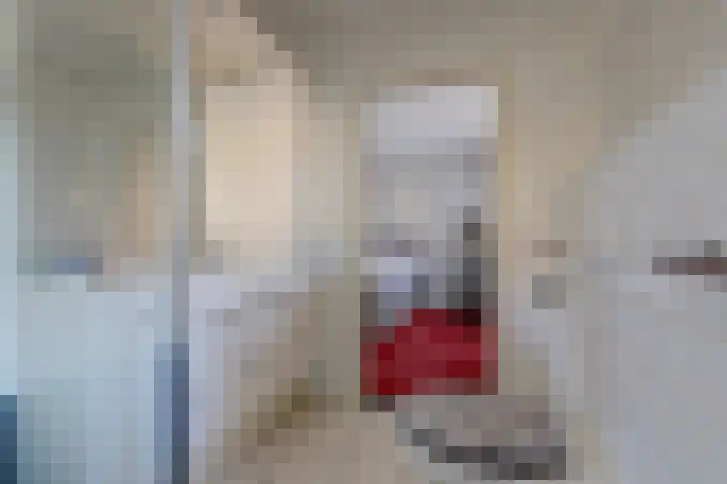 Rembrandtstraat 15 De Lier thumbnail 24