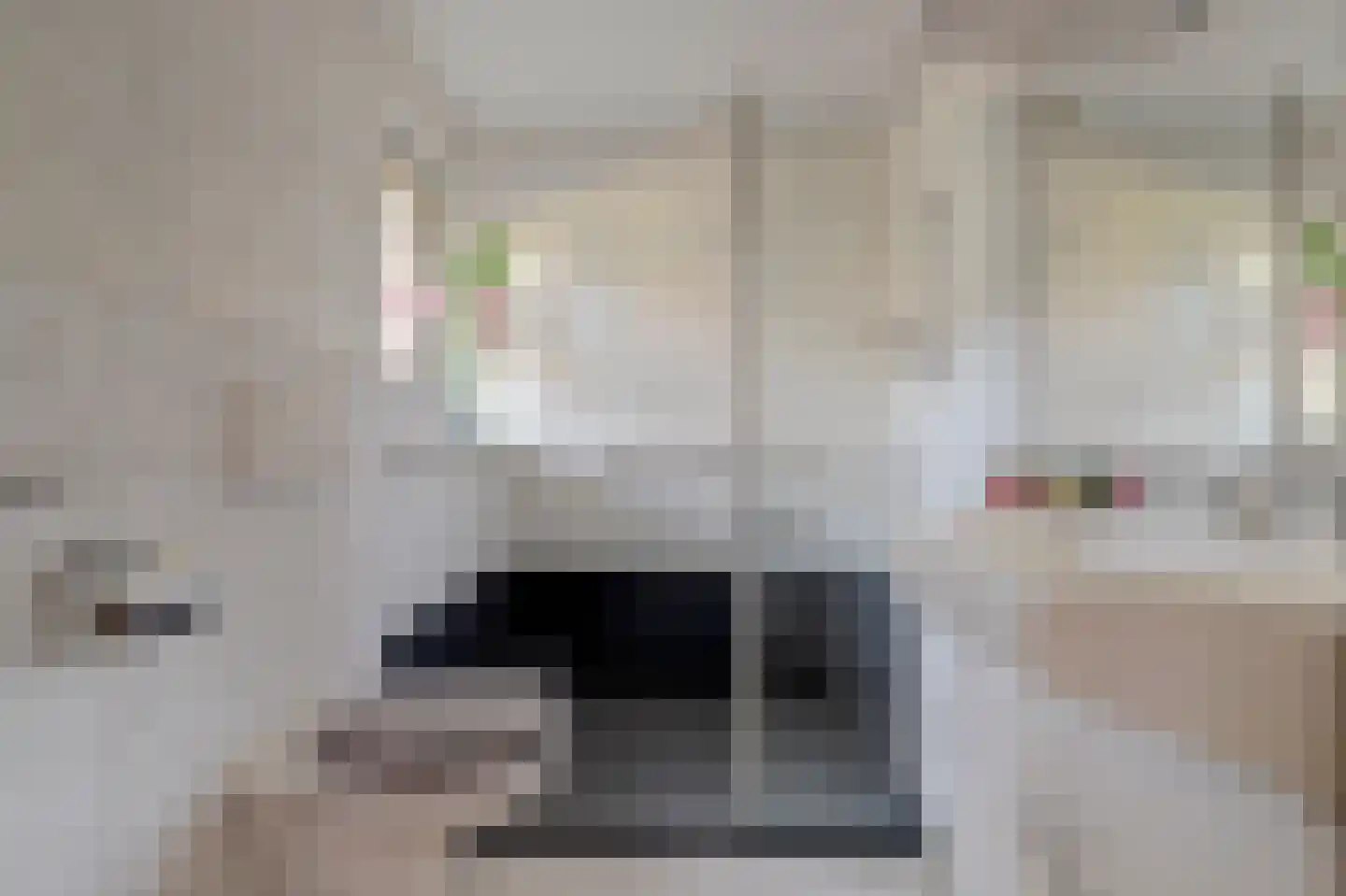 Rembrandtstraat 15 De Lier thumbnail 25