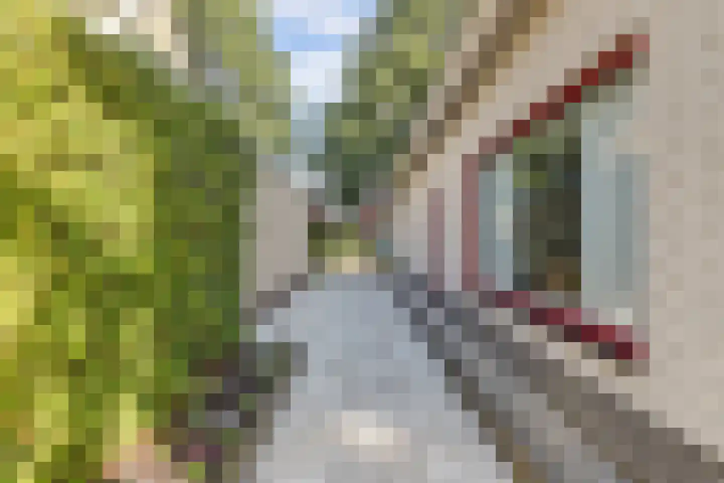 Rembrandtstraat 15 De Lier thumbnail 36