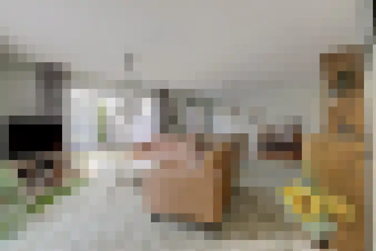 Rembrandtstraat 15 De Lier thumbnail 6