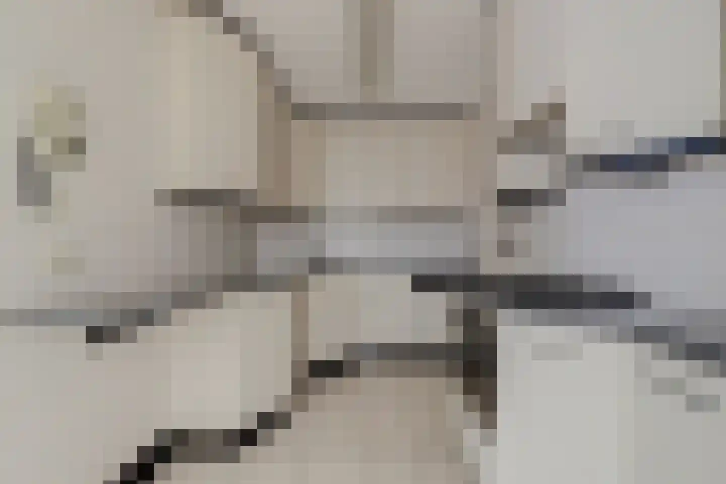 Rembrandtstraat 15 De Lier thumbnail 7