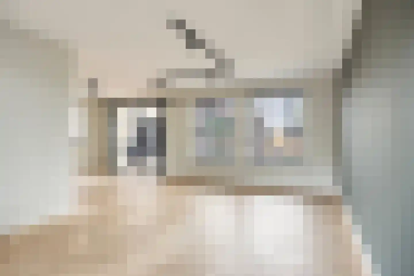 Rembrandtstraat 15 Heesch thumbnail 18