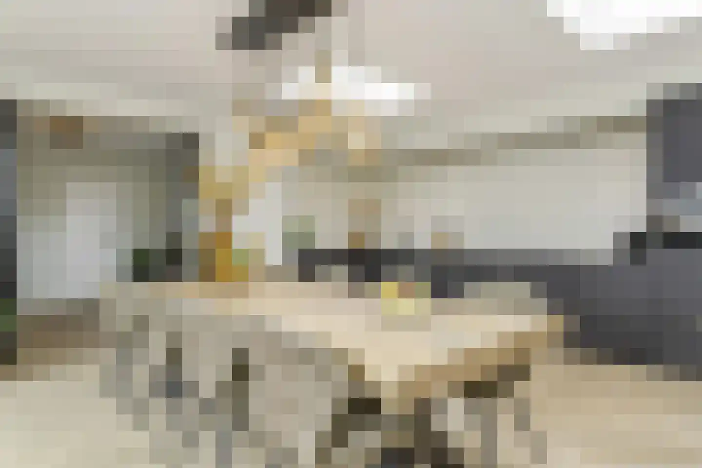 Rembrandtstraat 15 Heesch thumbnail 24