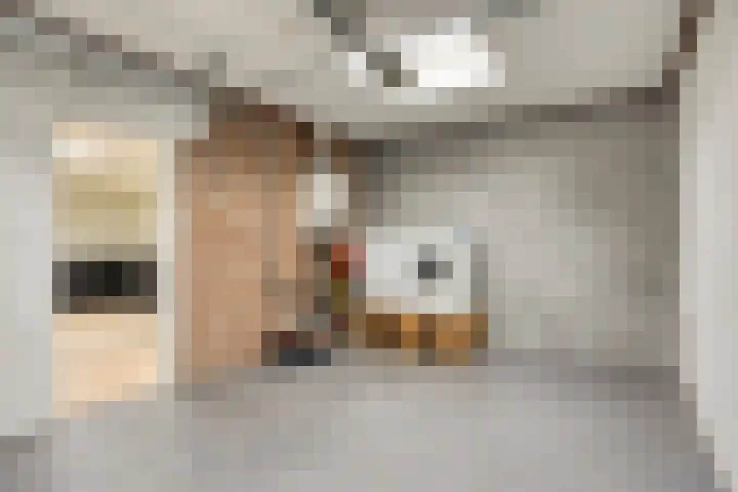 Rembrandtstraat 15 Heesch thumbnail 26