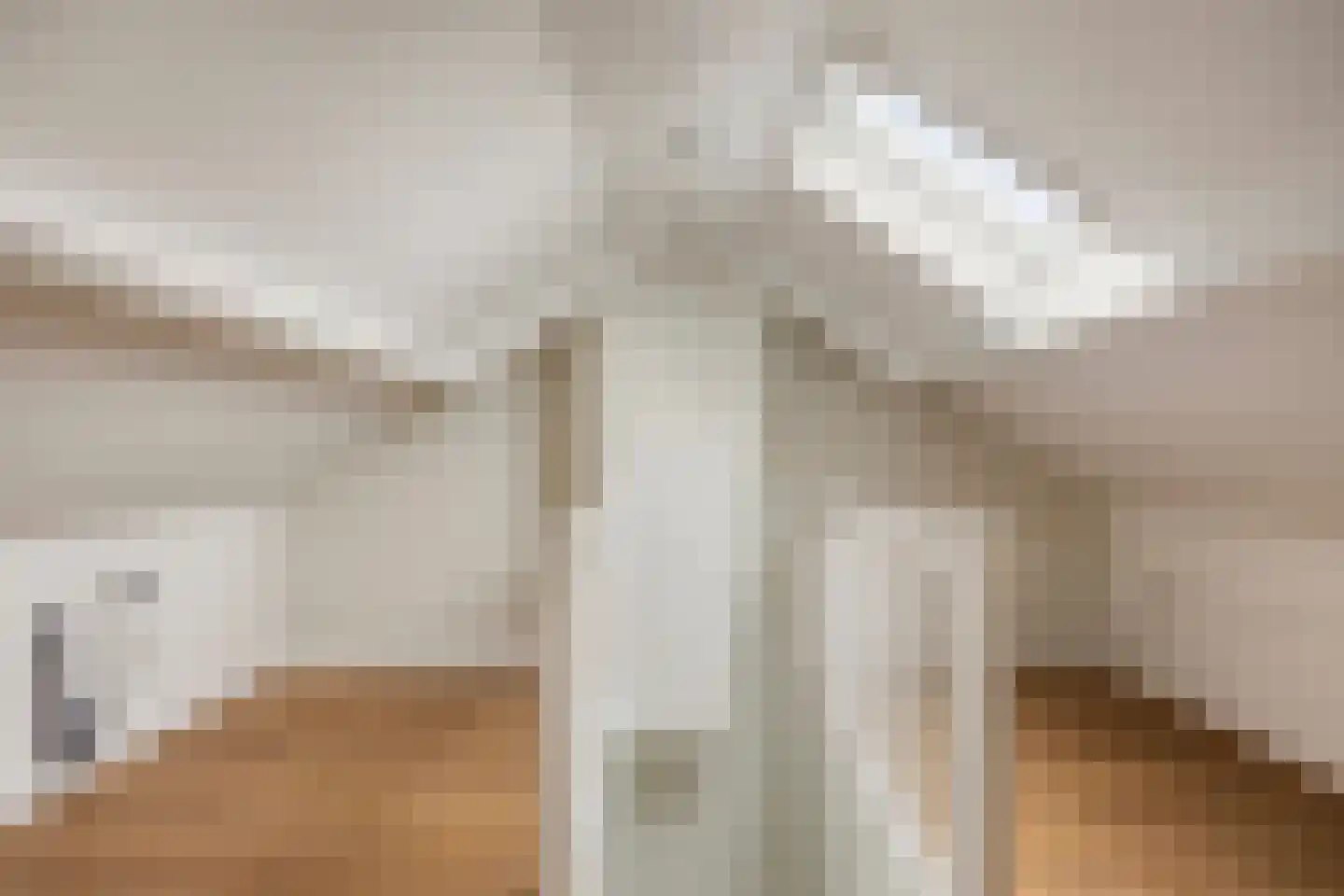 Rembrandtstraat 15 Heesch thumbnail 38