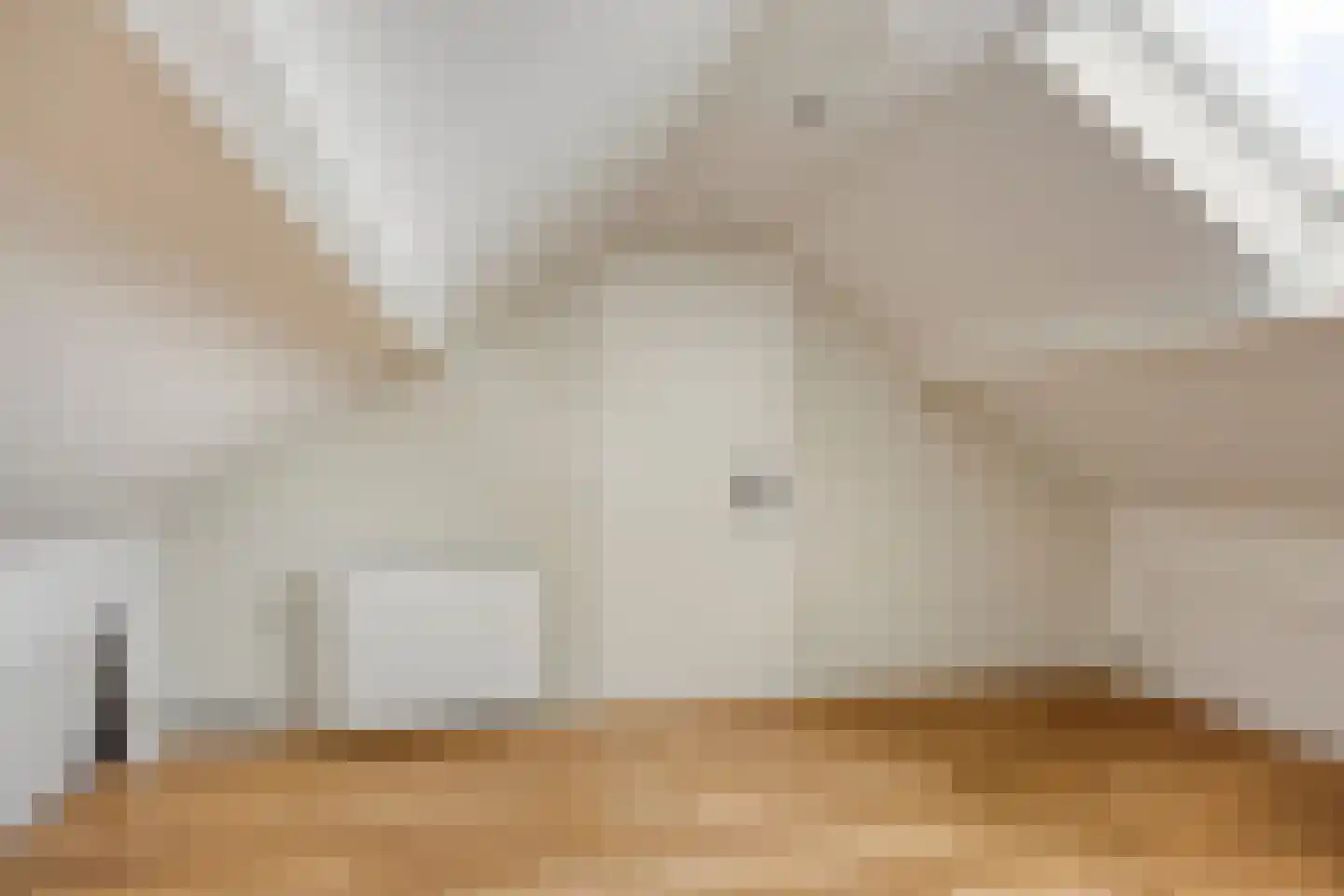 Rembrandtstraat 15 Heesch thumbnail 39