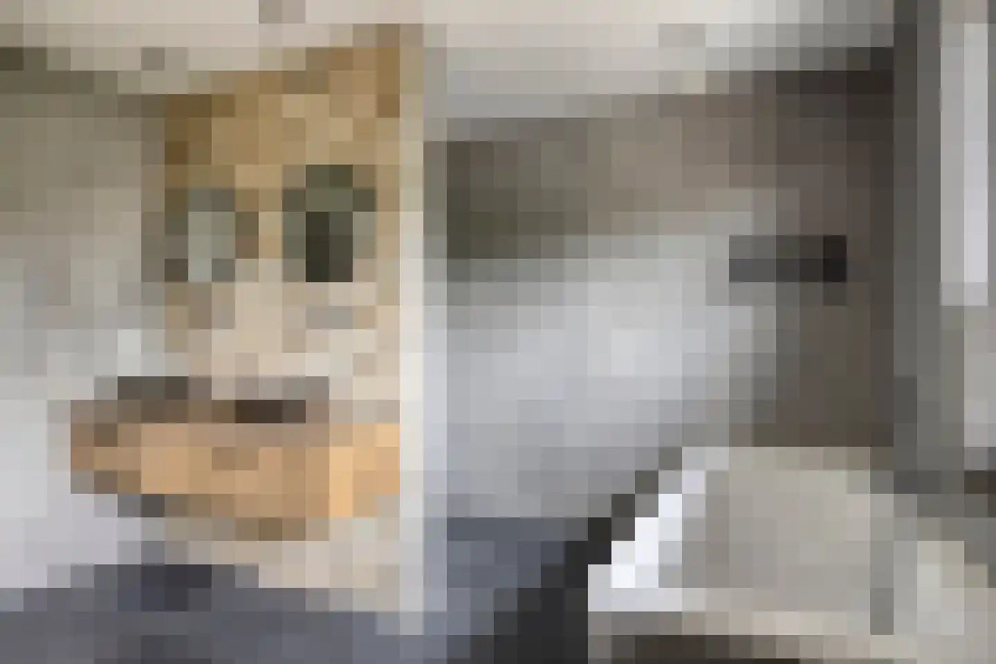 Rembrandtstraat 15 Heesch thumbnail 4