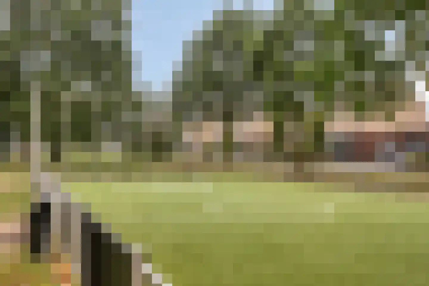 Rembrandtstraat 15 Heesch thumbnail 48