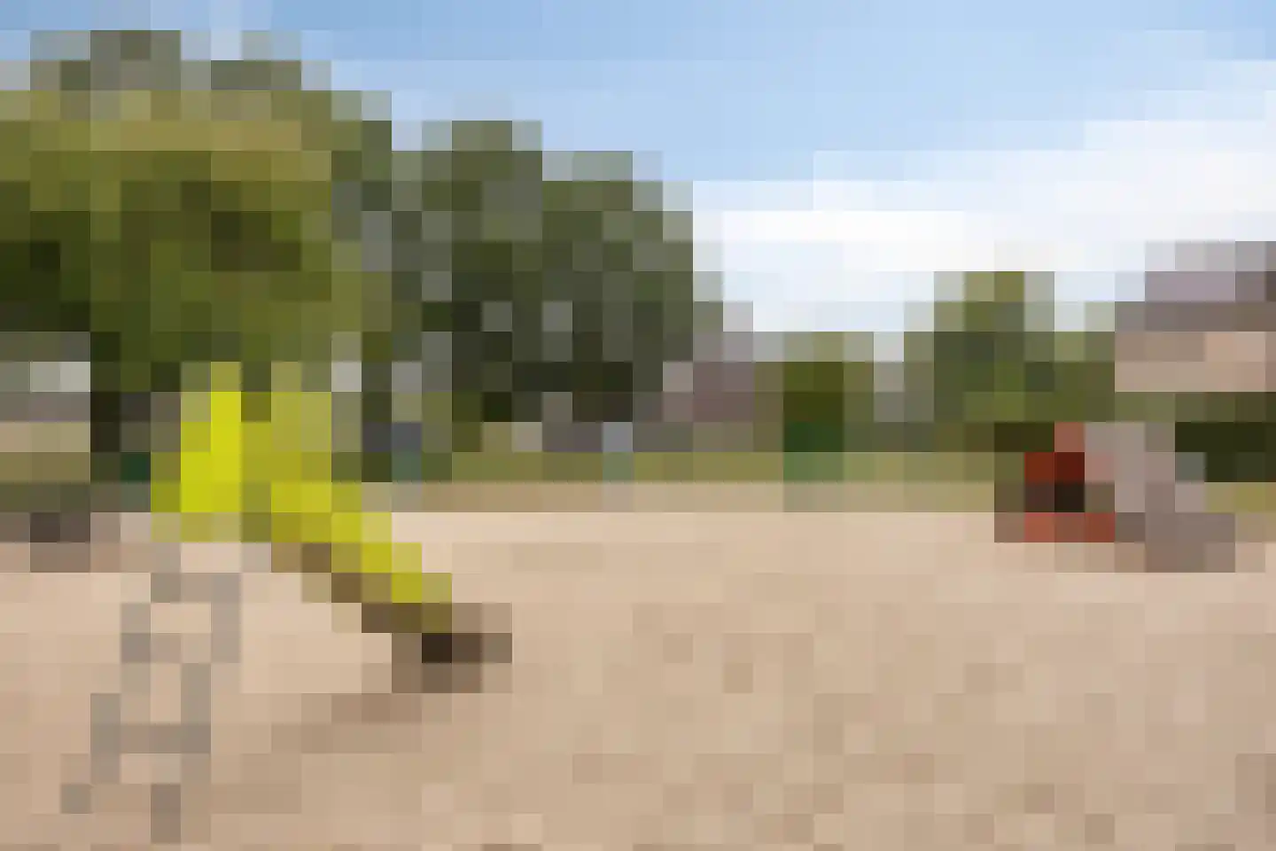 Rembrandtstraat 15 Heesch thumbnail 49