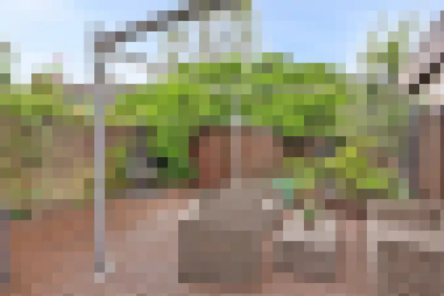 Rembrandtstraat 15 Spijkenisse thumbnail 13