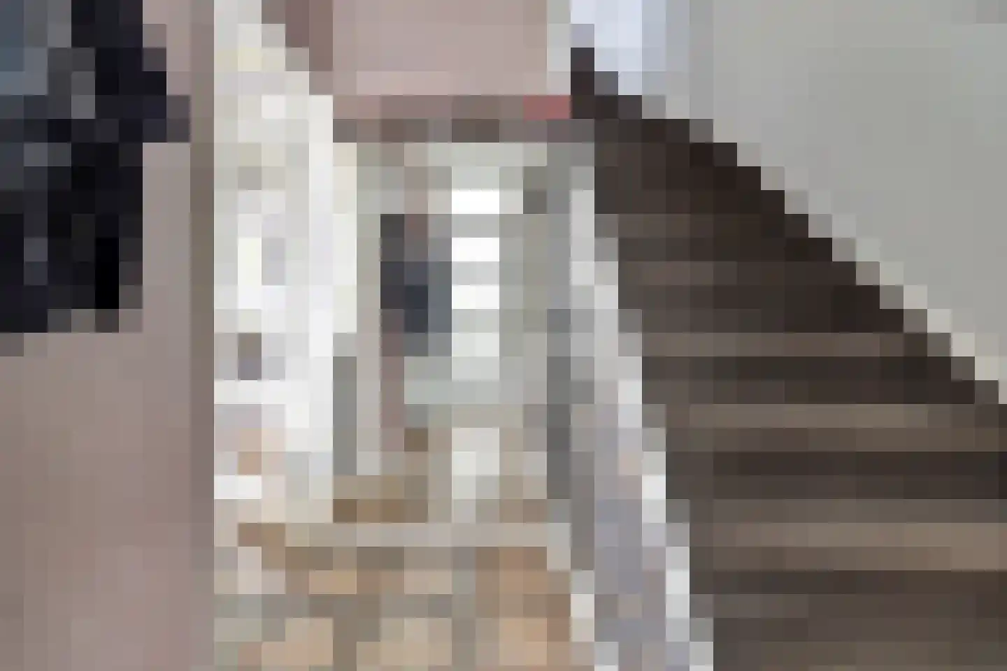 Rembrandtstraat 15 Spijkenisse thumbnail 14