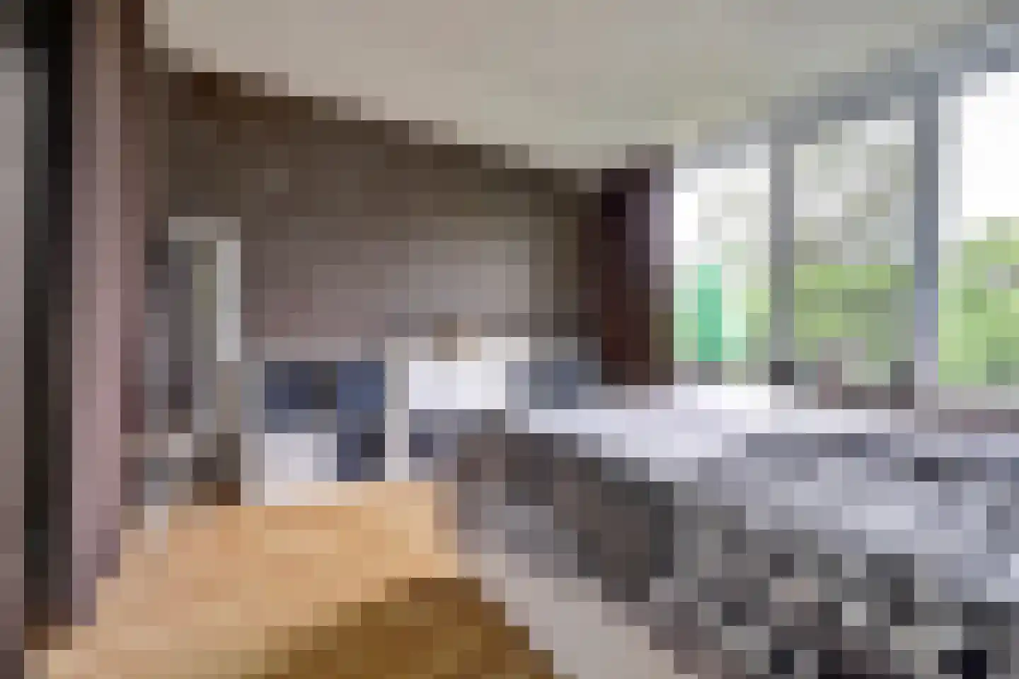 Rembrandtstraat 15 Spijkenisse thumbnail 18