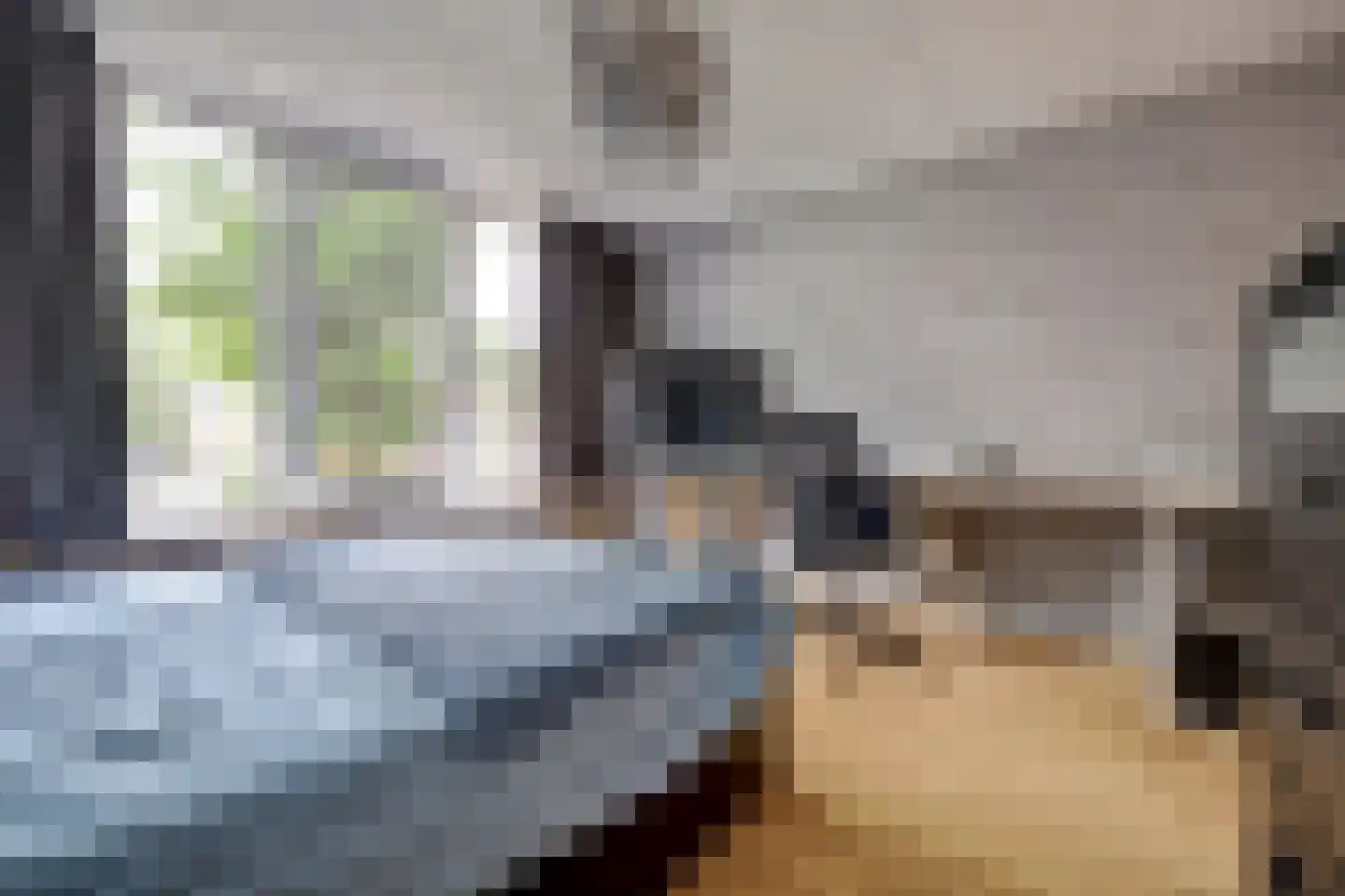 Rembrandtstraat 15 Spijkenisse thumbnail 20