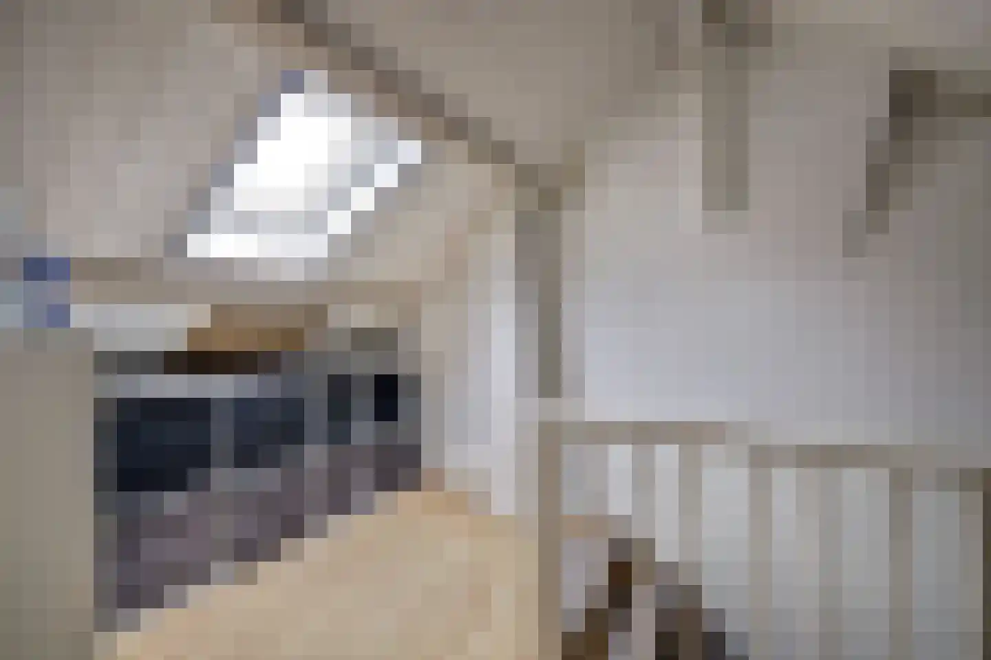 Rembrandtstraat 15 Spijkenisse thumbnail 22