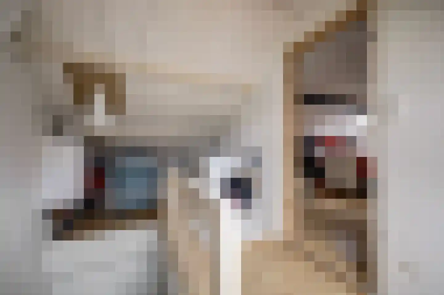 Rembrandtstraat 15 Spijkenisse thumbnail 23