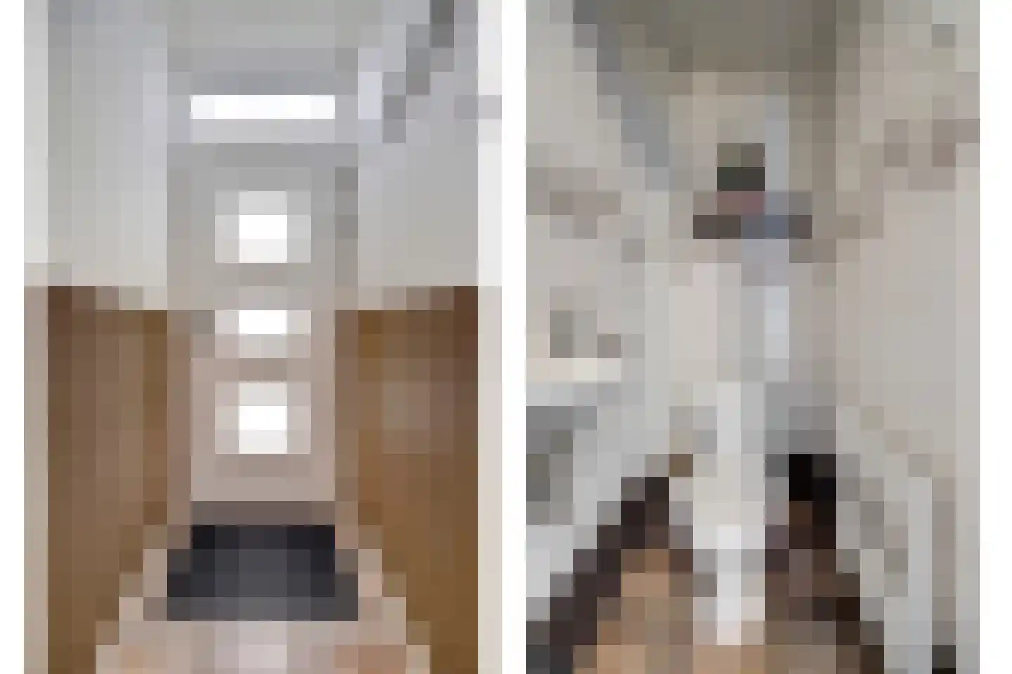 Rembrandtstraat 15 Spijkenisse thumbnail 4