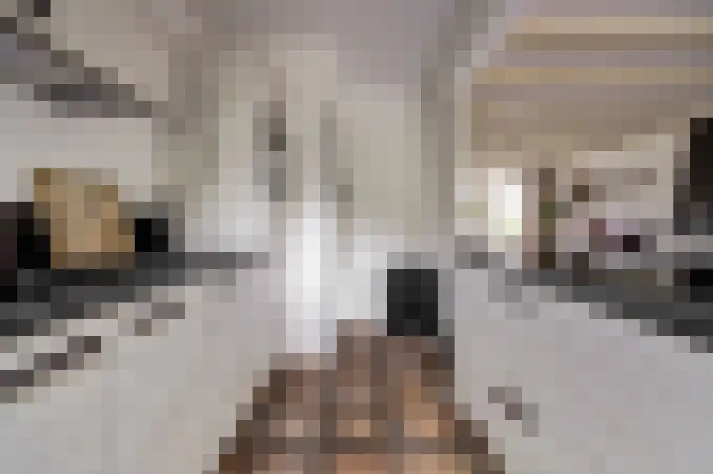 Rembrandtstraat 15 Spijkenisse thumbnail 4