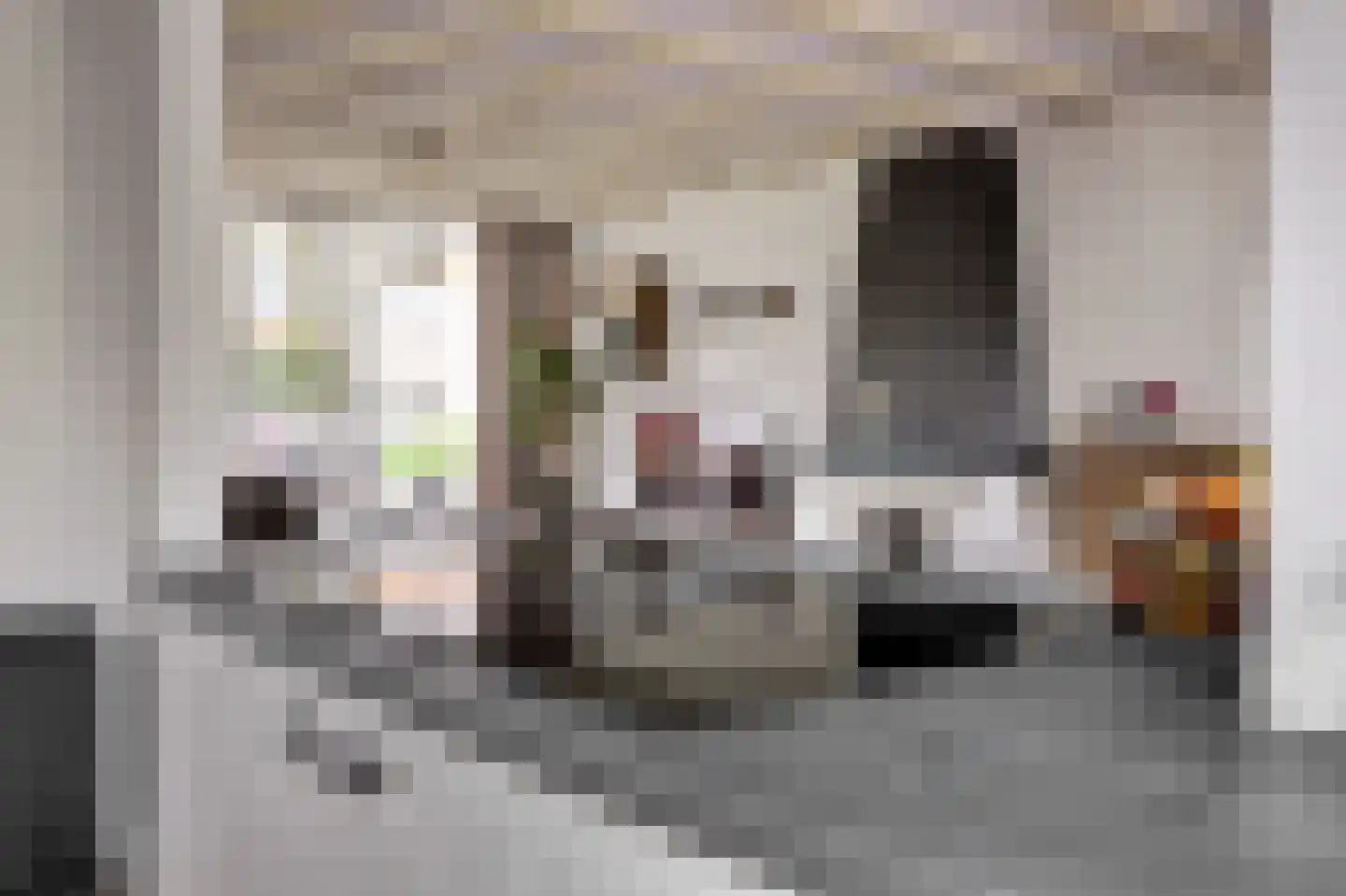 Rembrandtstraat 15 Spijkenisse thumbnail 5