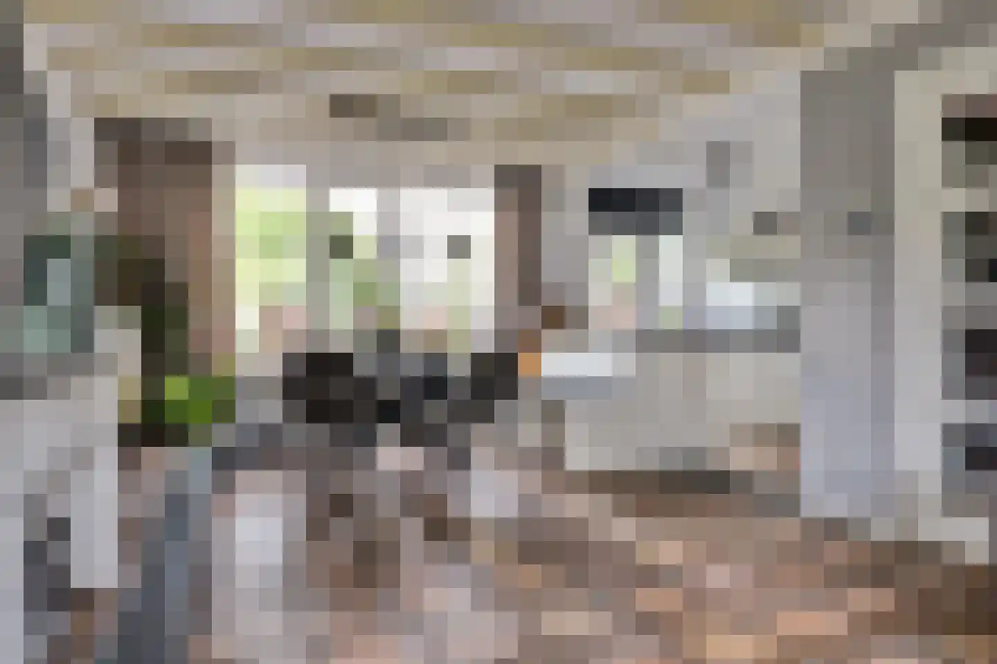Rembrandtstraat 15 Spijkenisse thumbnail 6