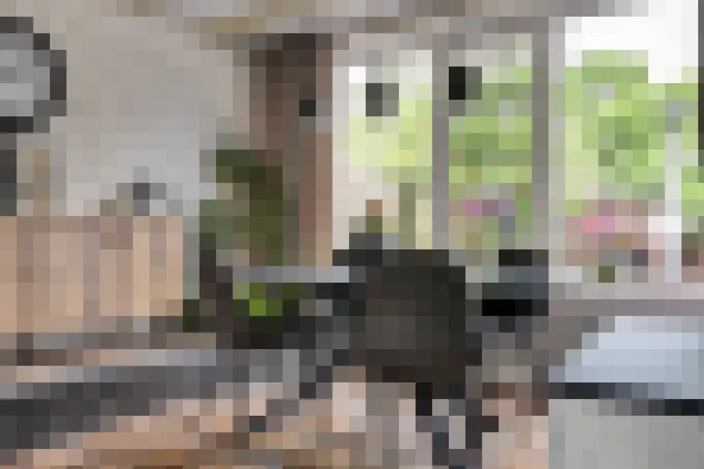 Rembrandtstraat 15 Spijkenisse thumbnail 8