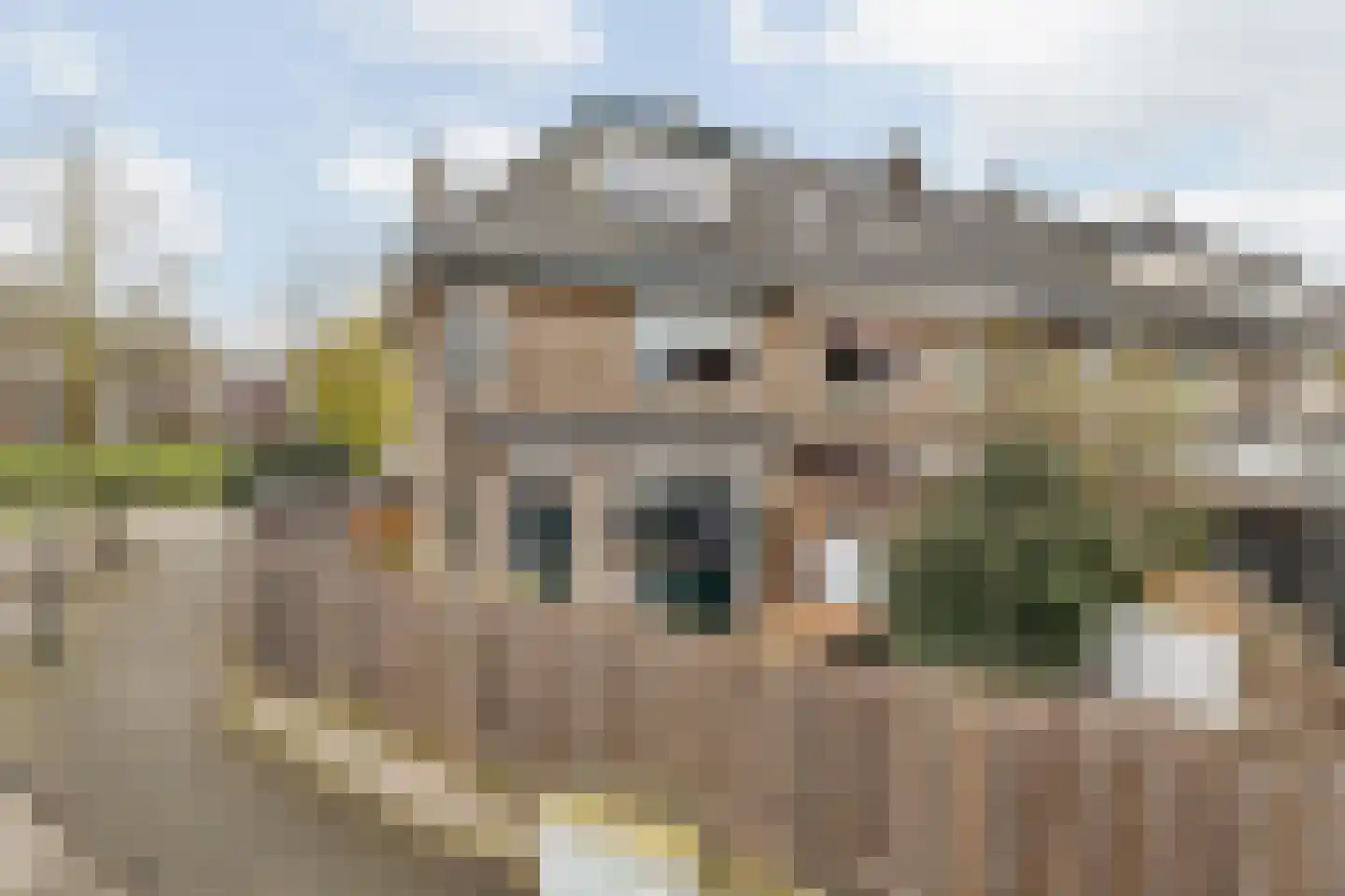 Rembrandtstraat 16 Breda thumbnail 6