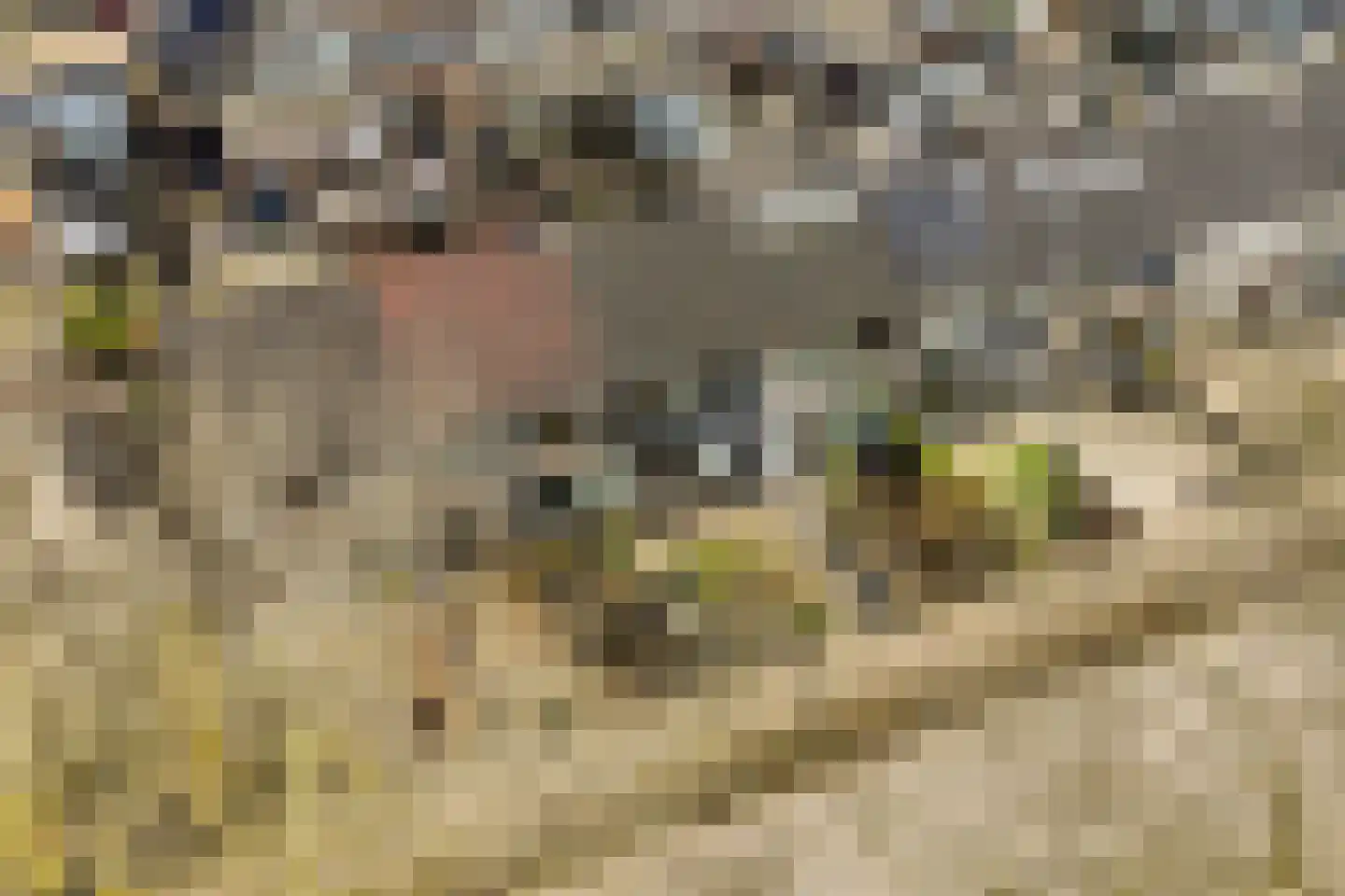 Rembrandtstraat 16 Heerhugowaard thumbnail 33