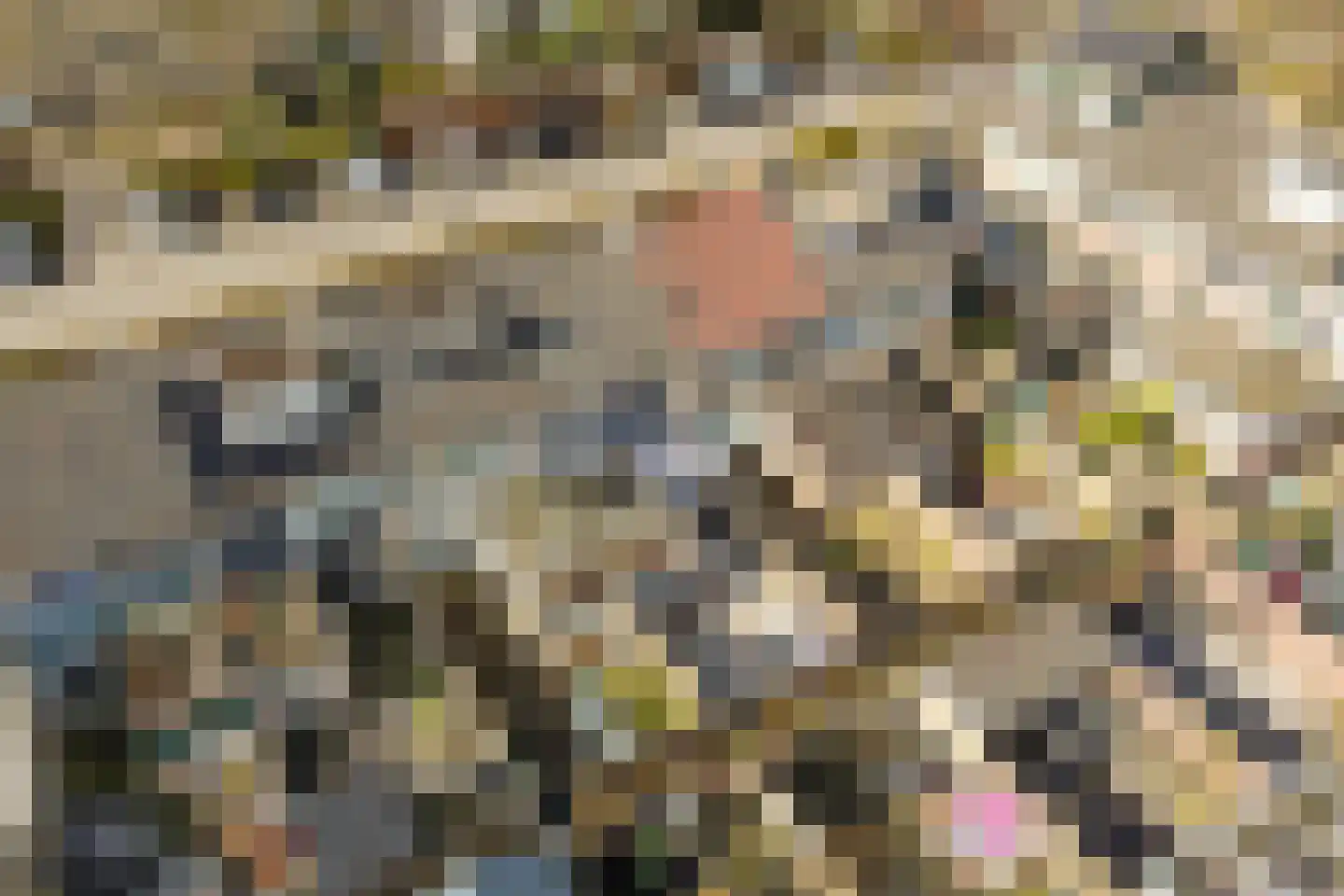Rembrandtstraat 16 Heerhugowaard thumbnail 34