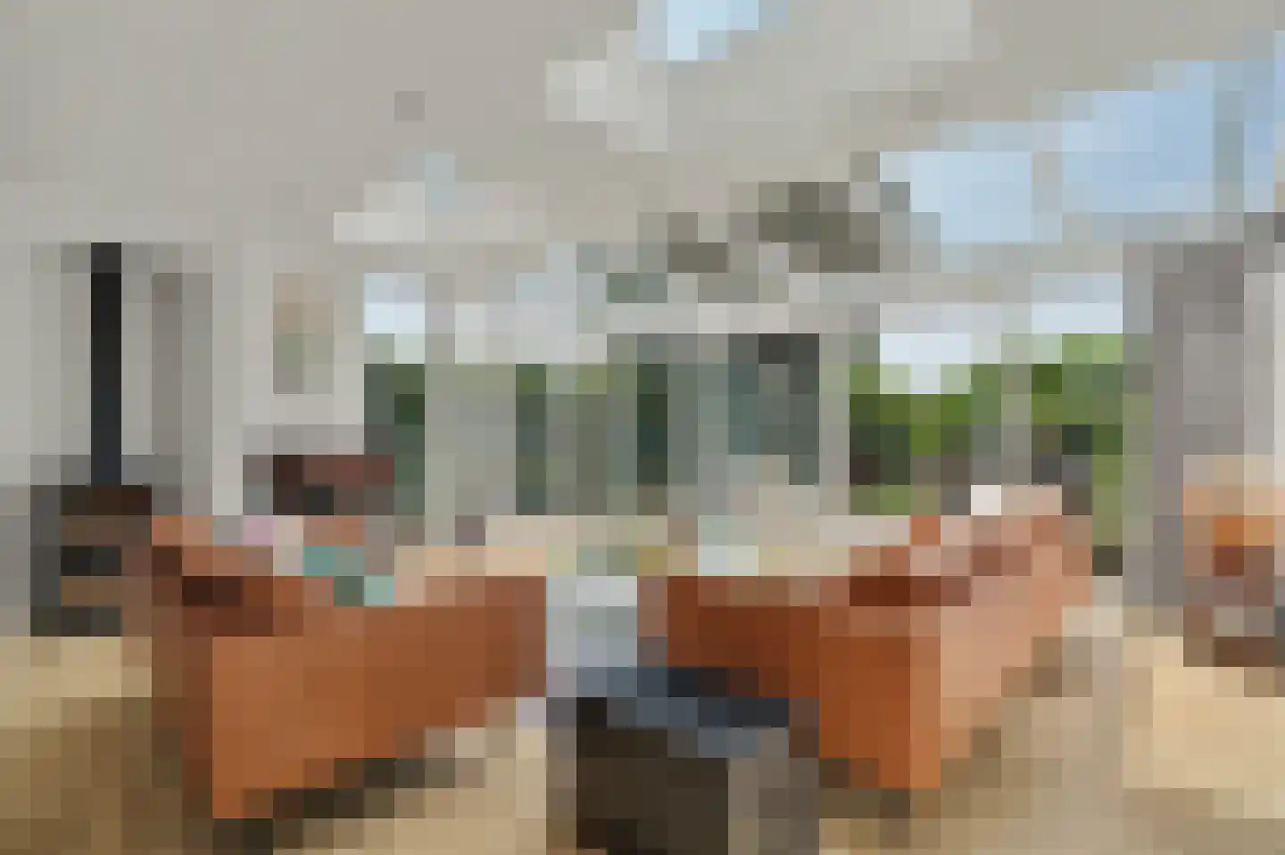 Rembrandtstraat 17 Reeuwijk thumbnail 10