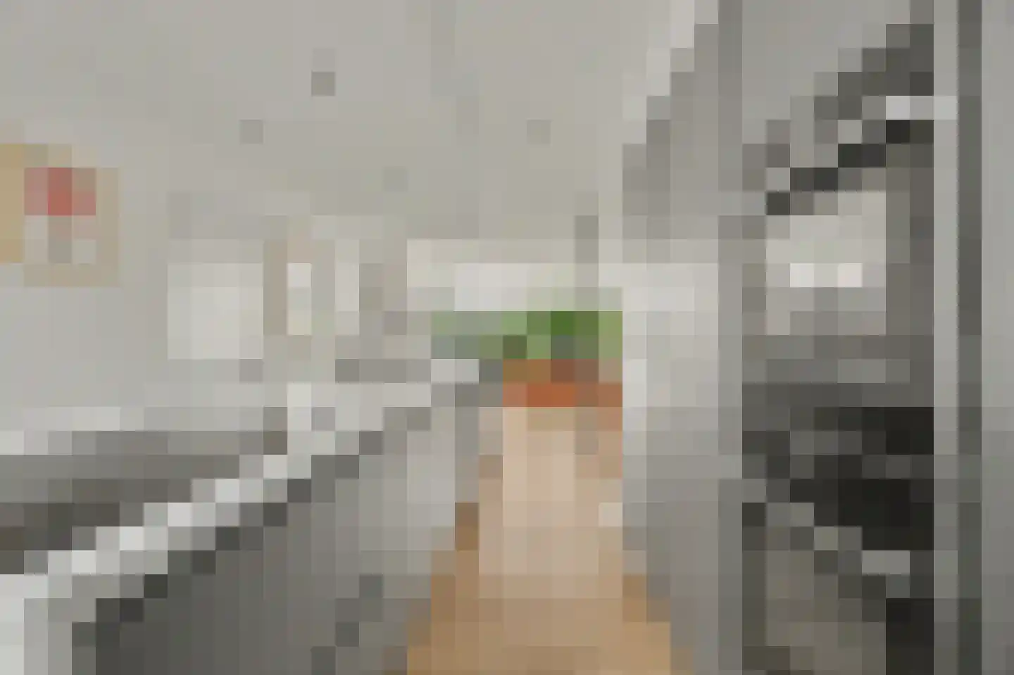 Rembrandtstraat 17 Reeuwijk thumbnail 18