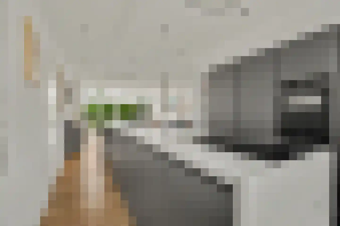 Rembrandtstraat 17 Reeuwijk thumbnail 19