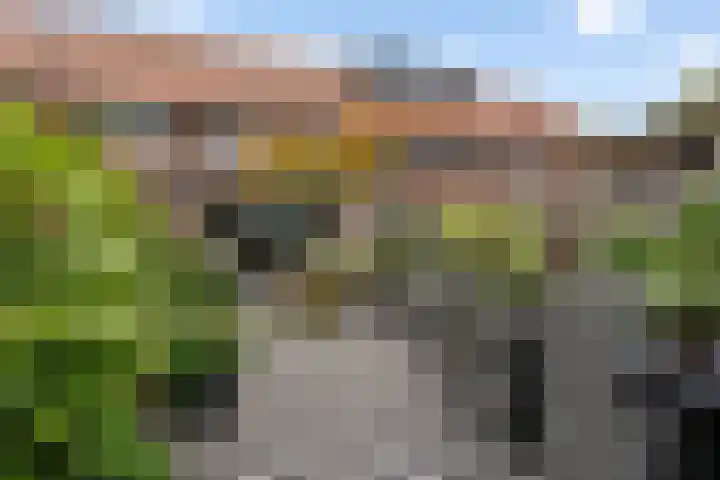 Rembrandtstraat 17 Steenwijk thumbnail 30