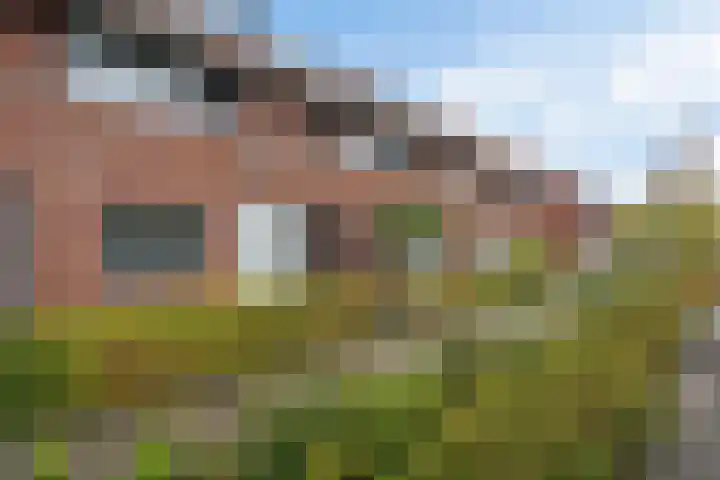 Rembrandtstraat 17 Steenwijk thumbnail 32