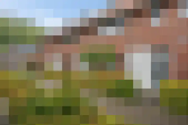 Rembrandtstraat 17 Steenwijk thumbnail 33