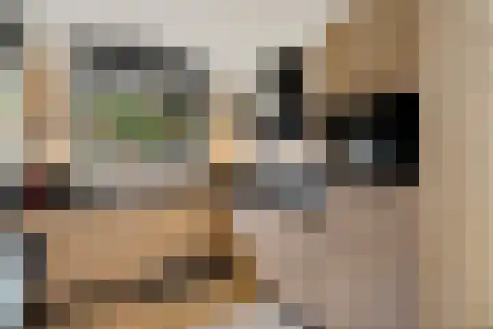 Rembrandtstraat 17 Steenwijk thumbnail 9