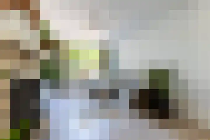 Rembrandtstraat 17 Vlijmen thumbnail 4