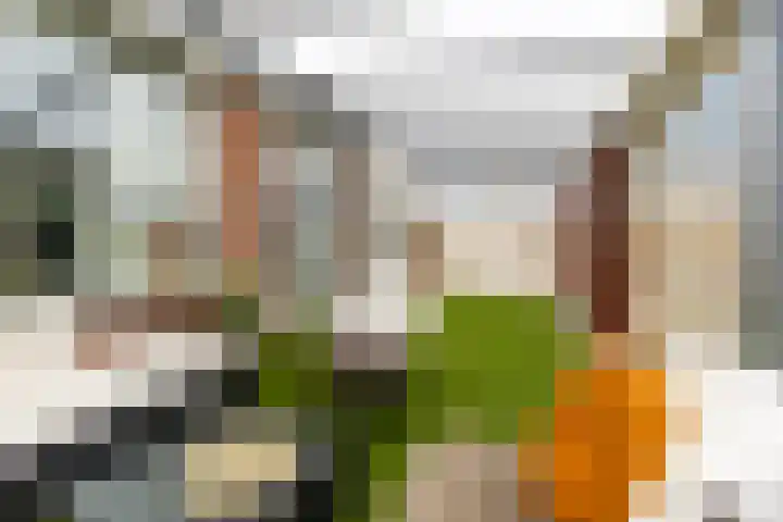 Rembrandtstraat 17 Vlijmen thumbnail 41