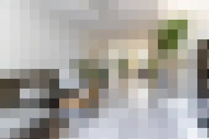 Rembrandtstraat 17 Vlijmen thumbnail 5