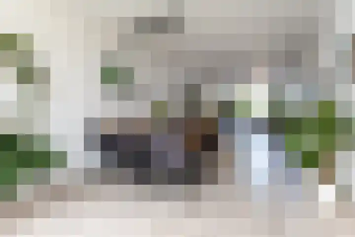 Rembrandtstraat 17 Vlijmen thumbnail 8