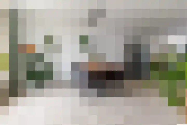 Rembrandtstraat 17 Vlijmen thumbnail 9