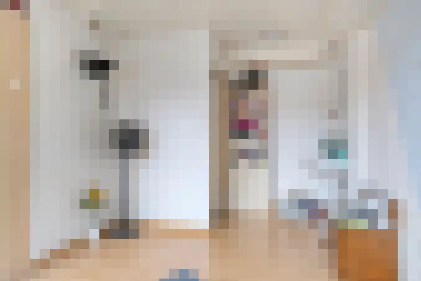 Rembrandtstraat 18 Cuijk thumbnail 11