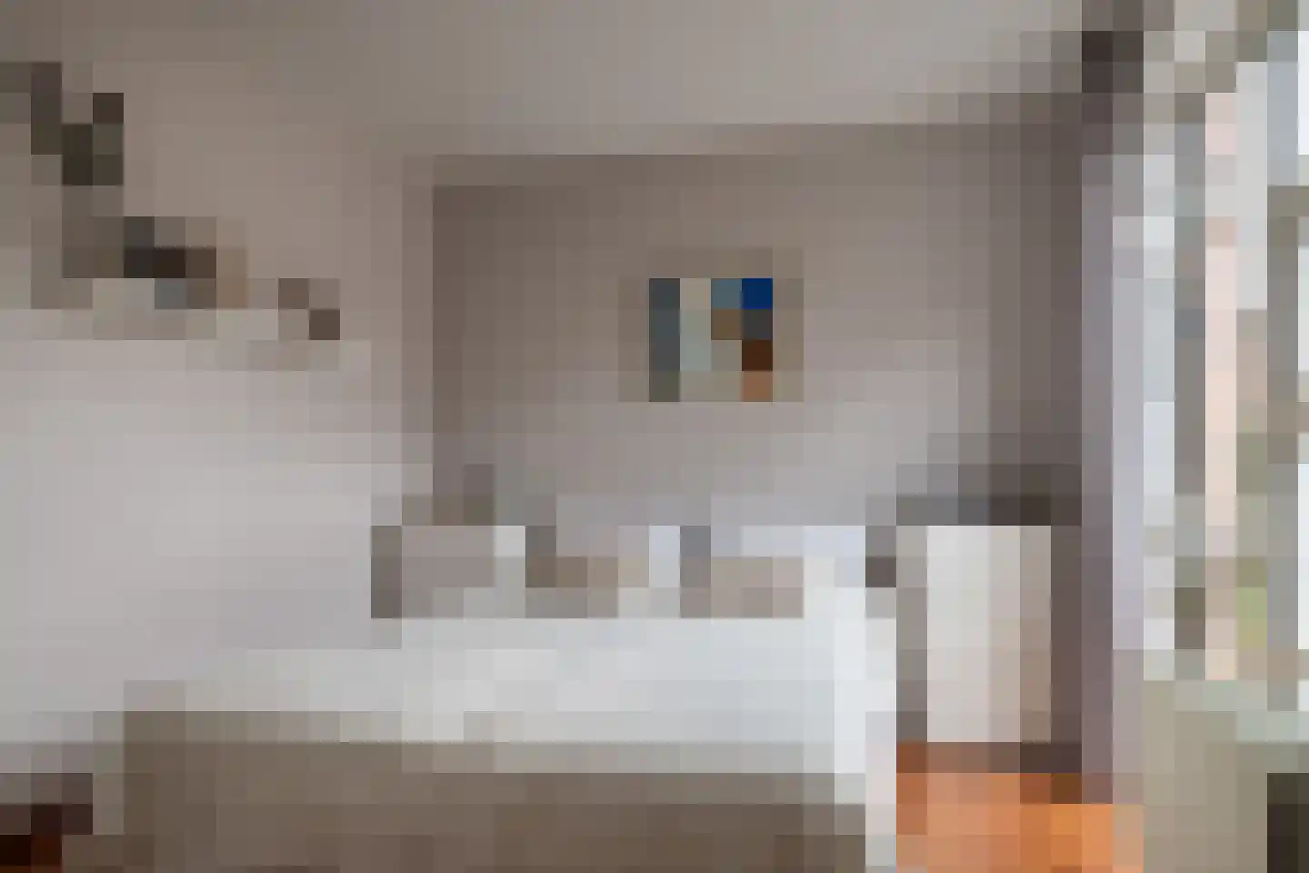 Rembrandtstraat 20 C Brunssum thumbnail 9