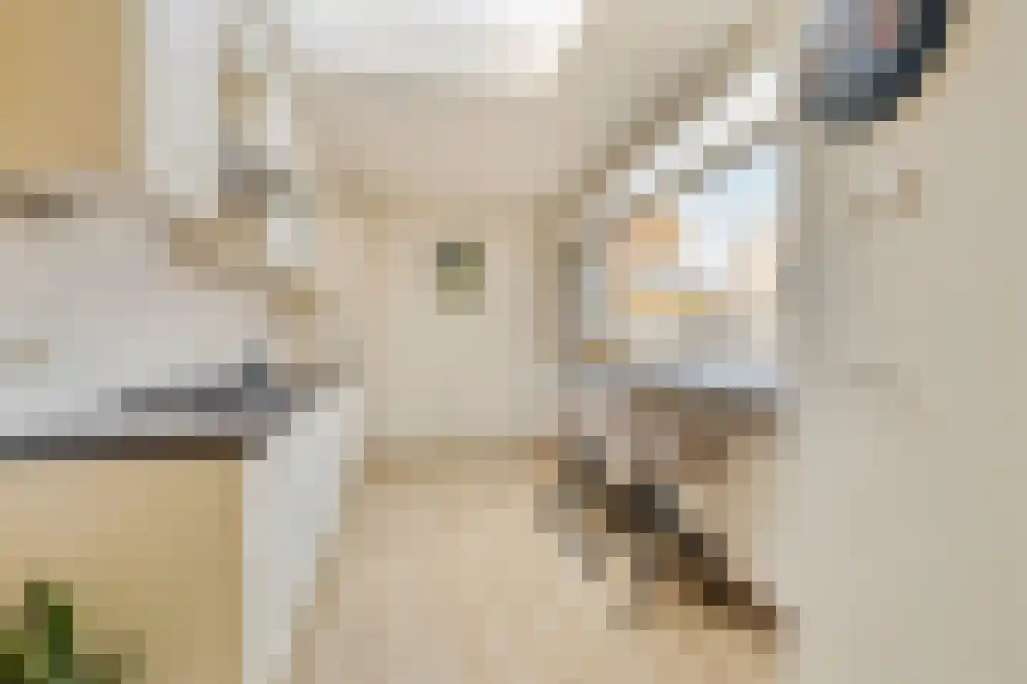 Rembrandtstraat 20 De Lier thumbnail 10