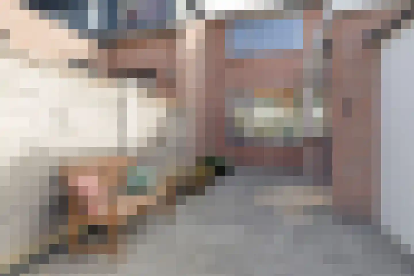 Rembrandtstraat 20 De Lier thumbnail 22