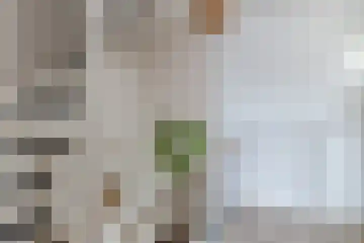 Rembrandtstraat 20 Heerhugowaard thumbnail 27