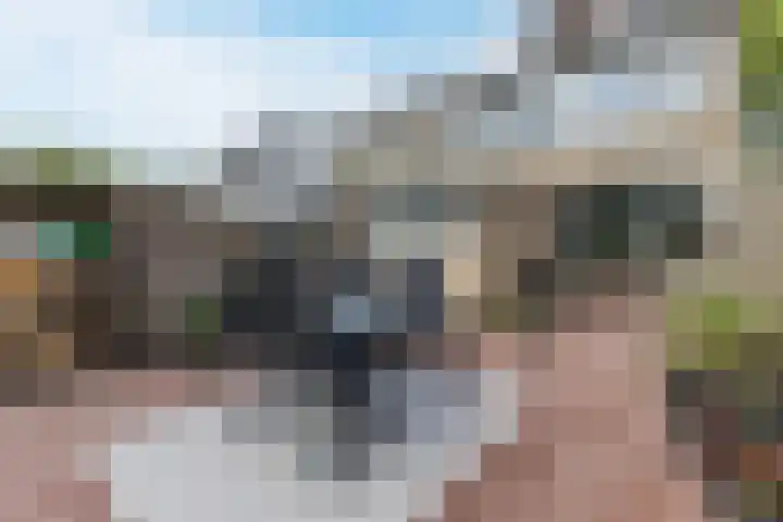 Rembrandtstraat 20 Heerhugowaard thumbnail 36