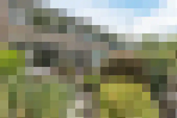 Rembrandtstraat 20 Heerhugowaard thumbnail 5